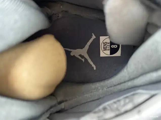 Reps TBK Jordan Retro Cool Grey 8 305381-014 0524